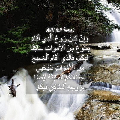 Picture 04 - رُومِيَةَ 8:11 AVD - وَإِنْ كَانَ رُوحُ ٱلَّذِي - Bible Verse Picture