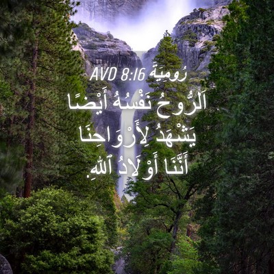 Picture 04 - رُومِيَةَ 8:16 AVD - اَلرُّوحُ نَفْسُهُ - Bible Verse Picture