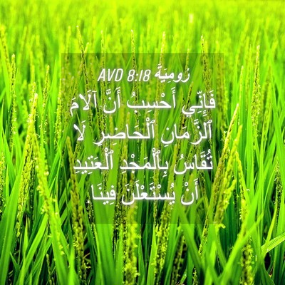 Picture 04 - رُومِيَةَ 8:18 AVD - فَإِنِّي أَحْسِبُ أَنَّ - Bible Verse Picture