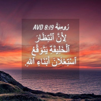 Picture 04 - رُومِيَةَ 8:19 AVD - لِأَنَّ ٱنْتِظَارَ - Bible Verse Picture
