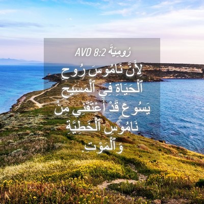 Picture 04 - رُومِيَةَ 8:2 AVD - لِأَنَّ نَامُوسَ رُوحِ - Bible Verse Picture