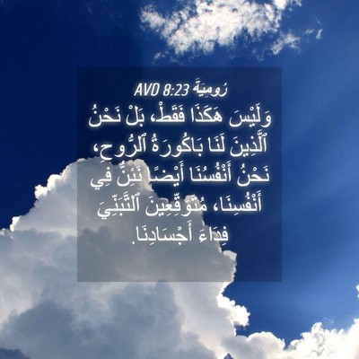Picture 04 - رُومِيَةَ 8:23 AVD - وَلَيْسَ هَكَذَا فَقَطْ، - Bible Verse Picture