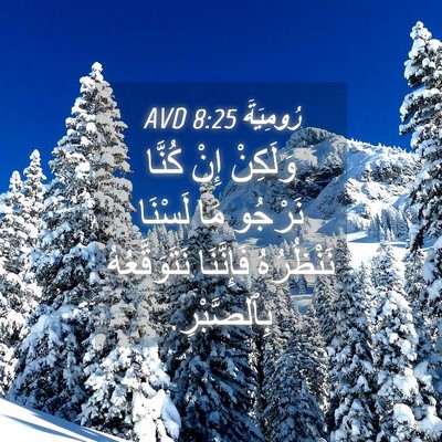 Picture 04 - رُومِيَةَ 8:25 AVD - وَلَكِنْ إِنْ كُنَّا - Bible Verse Picture