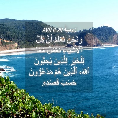 Picture 04 - رُومِيَةَ 8:28 AVD - وَنَحْنُ نَعْلَمُ أَنَّ - Bible Verse Picture