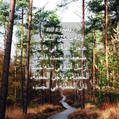 Picture 04 - رُومِيَةَ 8:3 AVD - لِأَنَّهُ مَا كَانَ - Bible Verse Picture