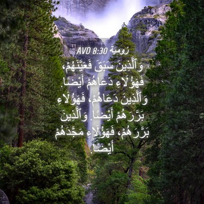 Picture 04 - رُومِيَةَ 8:30 AVD - وَٱلَّذِينَ سَبَقَ - Bible Verse Picture