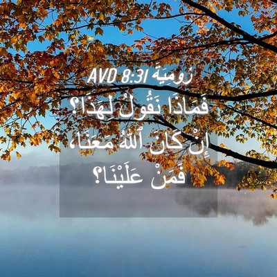 Picture 04 - رُومِيَةَ 8:31 AVD - فَمَاذَا نَقُولُ لِهَذَا؟ - Bible Verse Picture