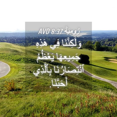 Picture 04 - رُومِيَةَ 8:37 AVD - وَلَكِنَّنَا فِي هَذِهِ - Bible Verse Picture