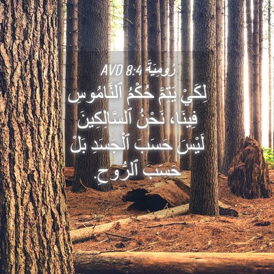 Picture 04 - رُومِيَةَ 8:4 AVD - لِكَيْ يَتِمَّ حُكْمُ - Bible Verse Picture