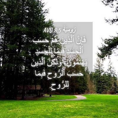 Picture 04 - رُومِيَةَ 8:5 AVD - فَإِنَّ ٱلَّذِينَ هُمْ - Bible Verse Picture