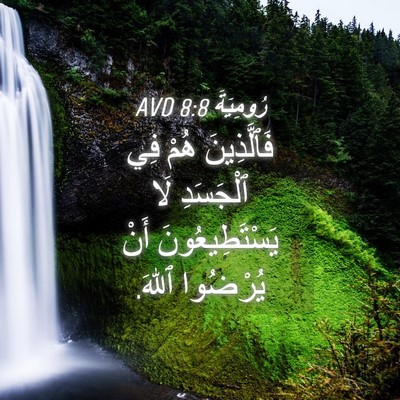 Picture 04 - رُومِيَةَ 8:8 AVD - فَٱلَّذِينَ هُمْ فِي - Bible Verse Picture