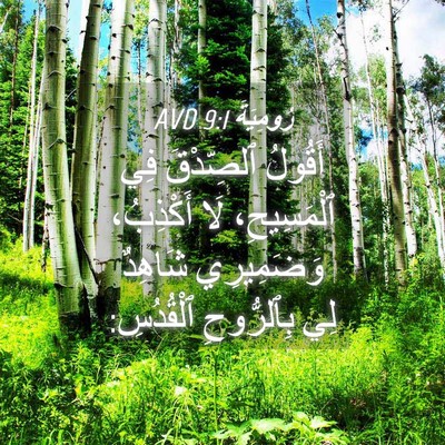 Picture 04 - رُومِيَةَ 9:1 AVD - أَقُولُ ٱلصِّدْقَ فِي - Bible Verse Picture