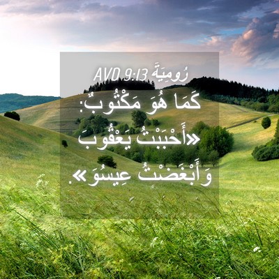 Picture 04 - رُومِيَةَ 9:13 AVD - كَمَا هُوَ مَكْتُوبٌ: - Bible Verse Picture