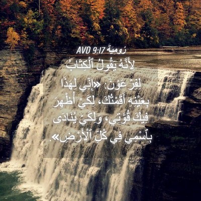 Picture 04 - رُومِيَةَ 9:17 AVD - لِأَنَّهُ يَقُولُ - Bible Verse Picture