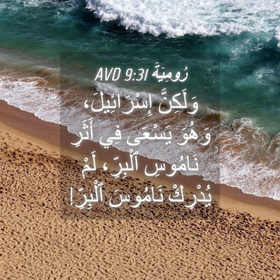 Picture 04 - رُومِيَةَ 9:31 AVD - وَلَكِنَّ إِسْرَائِيلَ، - Bible Verse Picture