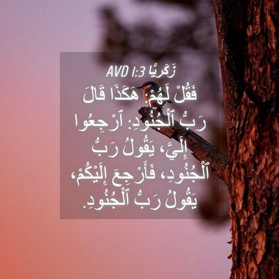 Picture 04 - زَكَريَّا 1:3 AVD - فَقُلْ لَهُمْ: هَكَذَا - Bible Verse Picture