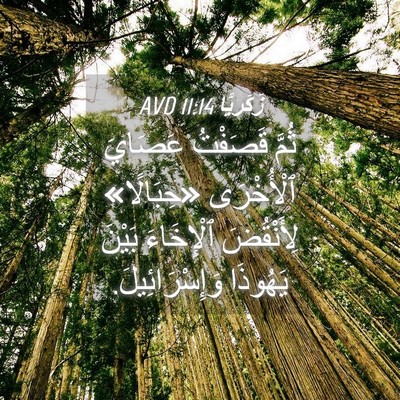Picture 04 - زَكَريَّا 11:14 AVD - ثُمَّ قَصَفْتُ عَصَايَ - Bible Verse Picture