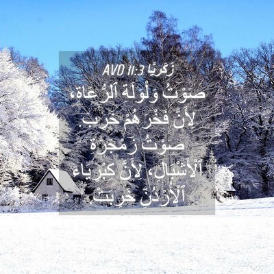 Picture 04 - زَكَريَّا 11:3 AVD - صَوْتُ وَلْوَلَةِ - Bible Verse Picture