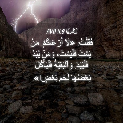 Picture 04 - زَكَريَّا 11:9 AVD - فَقُلْتُ: «لَا - Bible Verse Picture