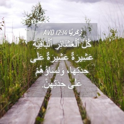 Picture 04 - زَكَريَّا 12:14 AVD - كُلُّ ٱلْعَشَائِرِ - Bible Verse Picture