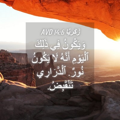 Picture 04 - زَكَريَّا 14:6 AVD - وَيَكُونُ فِي ذَلِكَ - Bible Verse Picture