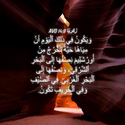 Picture 04 - زَكَريَّا 14:8 AVD - وَيَكُونُ فِي ذَلِكَ - Bible Verse Picture