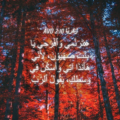 Picture 04 - زَكَريَّا 2:10 AVD - «تَرَنَّمِي وَٱفْرَحِي - Bible Verse Picture