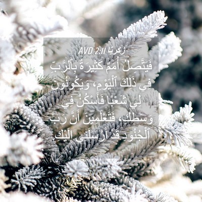 Picture 04 - زَكَريَّا 2:11 AVD - فَيَتَّصِلُ أُمَمٌ - Bible Verse Picture