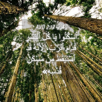 Picture 04 - زَكَريَّا 2:13 AVD - اُسْكُتُوا يَا كُلَّ - Bible Verse Picture