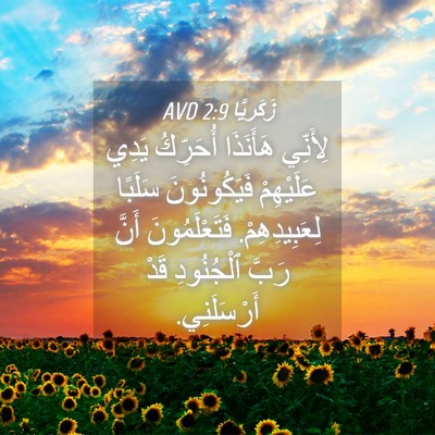 Picture 04 - زَكَريَّا 2:9 AVD - لِأَنِّي هَأَنَذَا - Bible Verse Picture