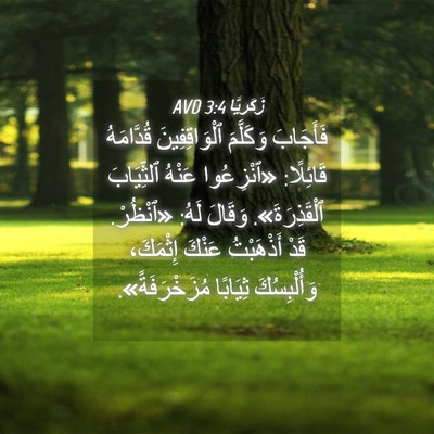 Picture 04 - زَكَريَّا 3:4 AVD - فَأَجَابَ وَكَلَّمَ - Bible Verse Picture