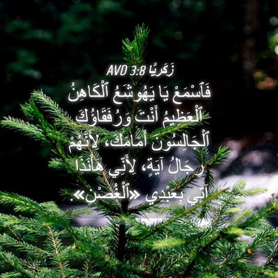 Picture 04 - زَكَريَّا 3:8 AVD - فَٱسْمَعْ يَا يَهُوشَعُ - Bible Verse Picture