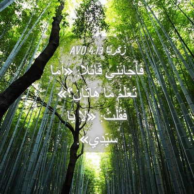 Picture 04 - زَكَريَّا 4:13 AVD - فَأَجَابَنِي قَائِلًا: - Bible Verse Picture