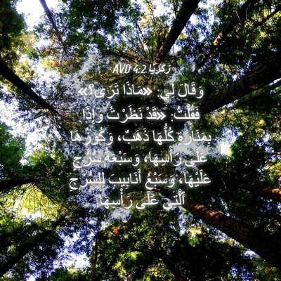 Picture 04 - زَكَريَّا 4:2 AVD - وَقَالَ لِي: «مَاذَا - Bible Verse Picture