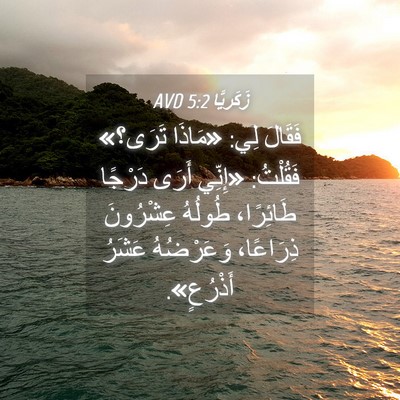 Picture 04 - زَكَريَّا 5:2 AVD - فَقَالَ لِي: «مَاذَا - Bible Verse Picture
