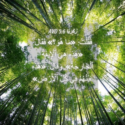 Picture 04 - زَكَريَّا 5:6 AVD - فَقُلْتُ: «مَا هُوَ؟» - Bible Verse Picture