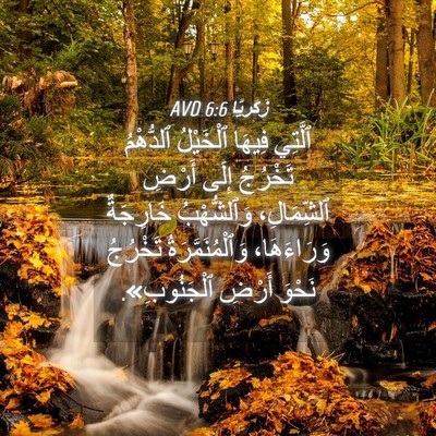 Picture 04 - زَكَريَّا 6:6 AVD - ٱلَّتِي فِيهَا ٱلْخَيْلُ - Bible Verse Picture