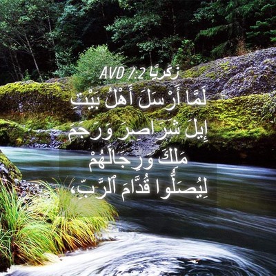 Picture 04 - زَكَريَّا 7:2 AVD - لَمَّا أَرْسَلَ أَهْلُ - Bible Verse Picture