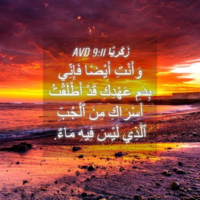 Picture 04 - زَكَريَّا 9:11 AVD - وَأَنْتِ أَيْضًا فَإِنِّي - Bible Verse Picture