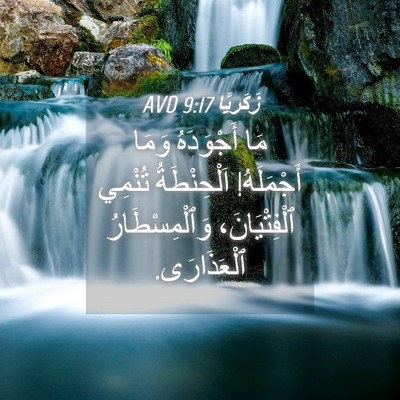 Picture 04 - زَكَريَّا 9:17 AVD - مَا أَجْوَدَهُ وَمَا - Bible Verse Picture