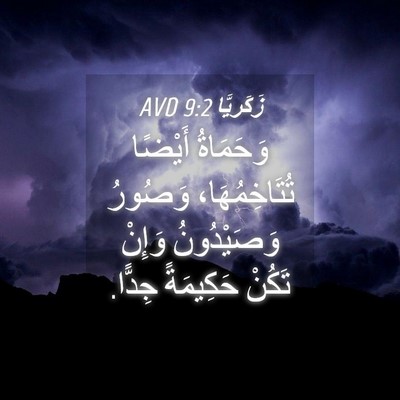 Picture 04 - زَكَريَّا 9:2 AVD - وَحَمَاةُ أَيْضًا - Bible Verse Picture
