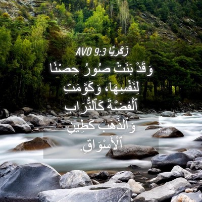 Picture 04 - زَكَريَّا 9:3 AVD - وَقَدْ بَنَتْ صُورُ - Bible Verse Picture