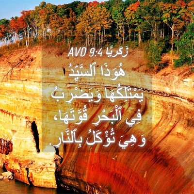 Picture 04 - زَكَريَّا 9:4 AVD - هُوَذَا ٱلسَّيِّدُ - Bible Verse Picture