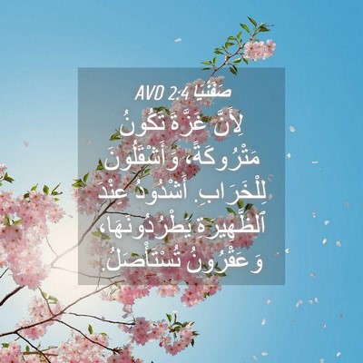 Picture 04 - صَفَنْيَا 2:4 AVD - لِأَنَّ غَزَّةَ تَكُونُ - Bible Verse Picture