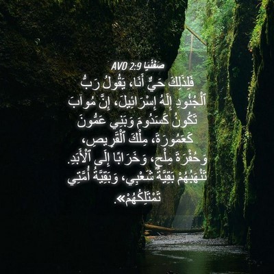Picture 04 - صَفَنْيَا 2:9 AVD - فَلِذَلِكَ حَيٌّ أَنَا، - Bible Verse Picture
