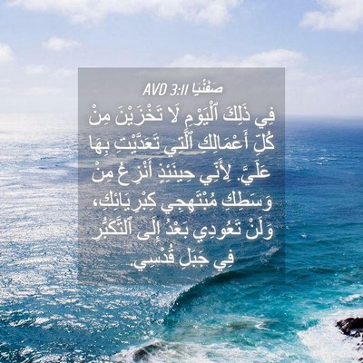 Picture 04 - صَفَنْيَا 3:11 AVD - فِي ذَلِكَ ٱلْيَوْمِ لَا - Bible Verse Picture