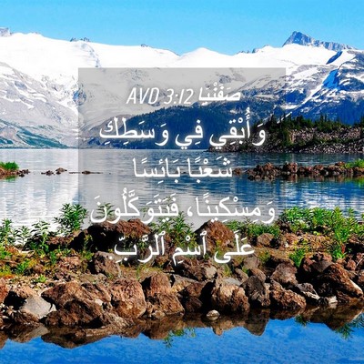 Picture 04 - صَفَنْيَا 3:12 AVD - وَأُبْقِي فِي وَسَطِكِ - Bible Verse Picture