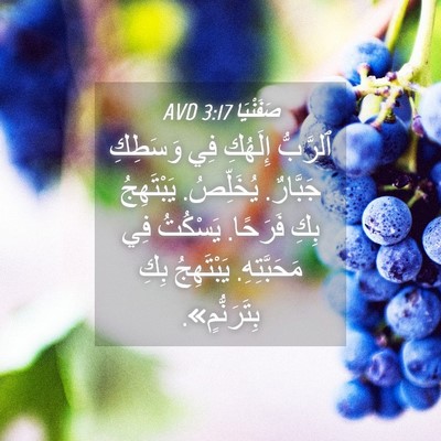 Picture 04 - صَفَنْيَا 3:17 AVD - ٱلرَّبُّ إِلَهُكِ فِي - Bible Verse Picture