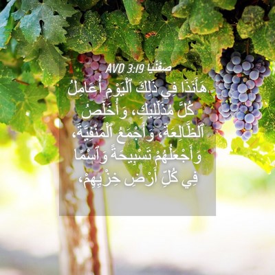 Picture 04 - صَفَنْيَا 3:19 AVD - هَأَنَذَا فِي ذَلِكَ - Bible Verse Picture