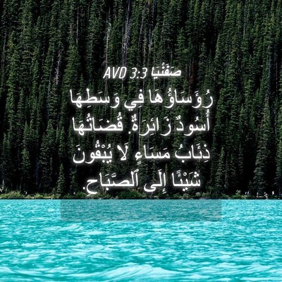 Picture 04 - صَفَنْيَا 3:3 AVD - رُؤَسَاؤُهَا فِي - Bible Verse Picture